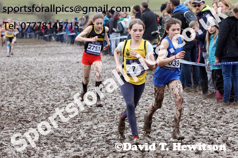Girls under-13s 2018 British Inter Counties Cross Country Champs., Prestwold Hall, Loughborough. Photo: David T. Hewitson/Sports for All Pics